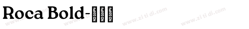 Roca Bold字体转换 Roca Bold字体转换